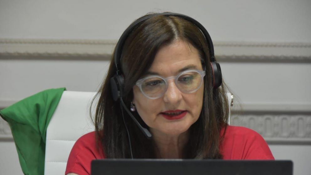 Estela Díaz habló en el Día Internacional de la Eliminación de la Violencia contra la Mujer (Gentileza @EstelaEDiaz/Twitter).