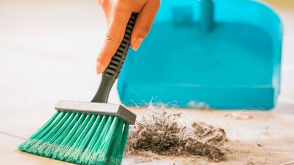 La forma m�s sencilla de aprovechar un balde de pl�stico.