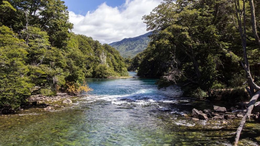 Hacía rafting, cayó al río y murió: "Es la primera vez que nos pasa esto"