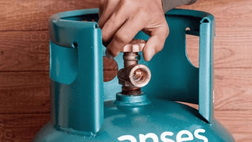 ANSES: Quiénes pueden acceder al Programa Hogar en febrero y qué requisitos se deben cumplir.