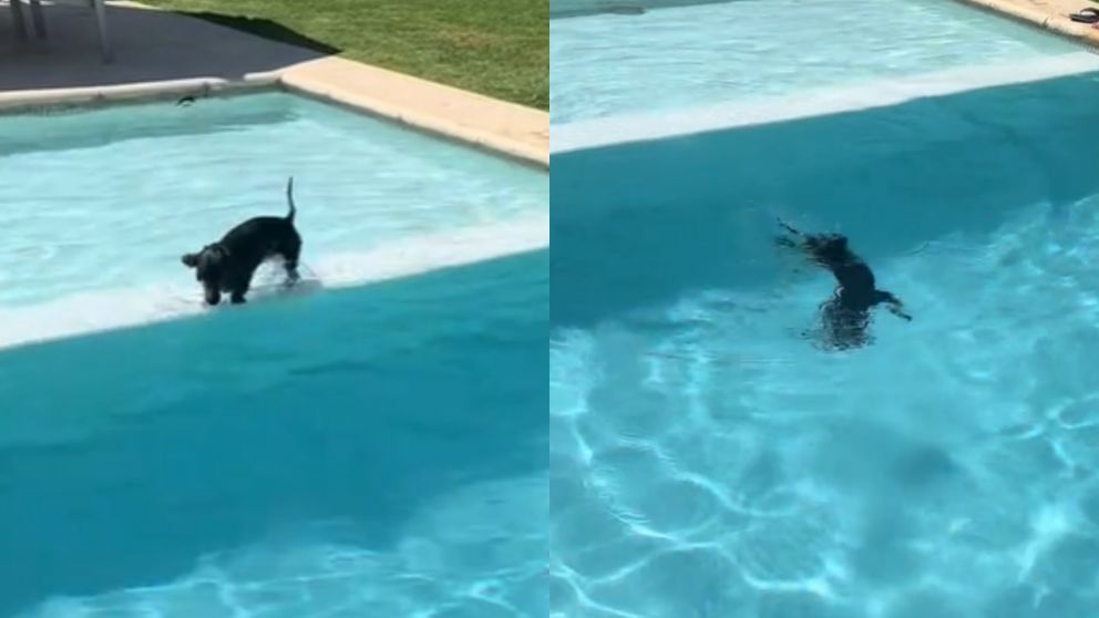 La divertida secuencia que es furor en las redes sociales.