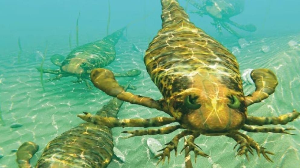 Impactante hallazgo por parte de los científicos (The Sun).