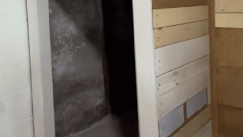 TikTok: alquilaron una casa y en el sótano descubrieron algo que las dejó horrorizadas.