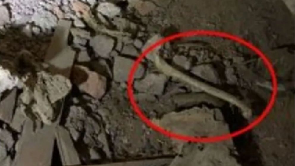 El descubrimiento m�s impensado.