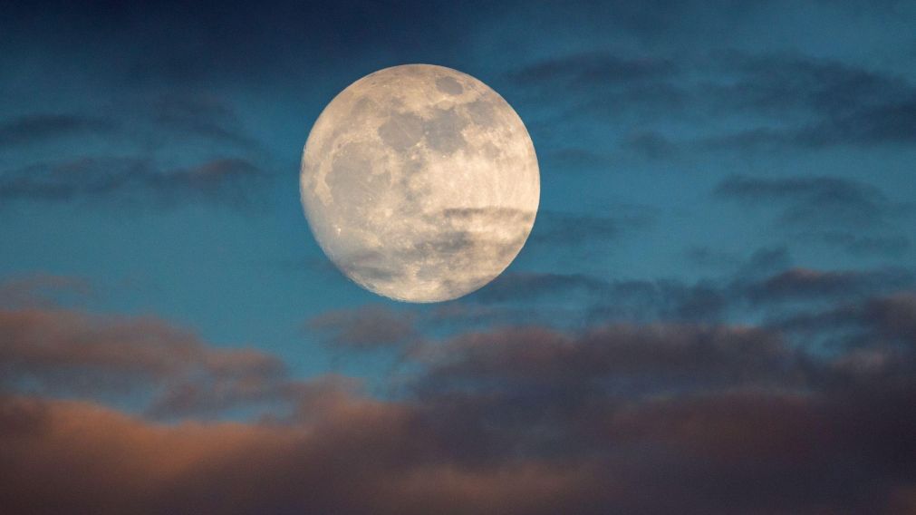 La superluna de ciervo aparecerá en el cielo este mes y podrá verse desde Argentina.