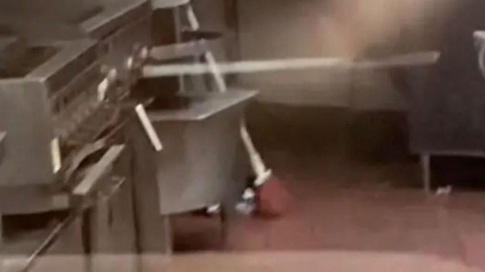 El hecho fue filmado y subido a las redes sociales (Captura de video).