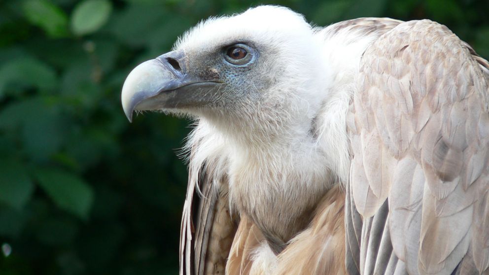 El duro recibimiento a Batakis ocurrió en medio de una jornada de inestabilidad para los mercados.