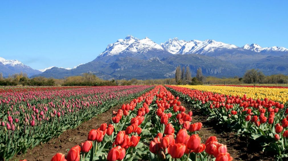 Trevelin, el pueblo de Chubut que disputará el "Mundial" de Turismo.