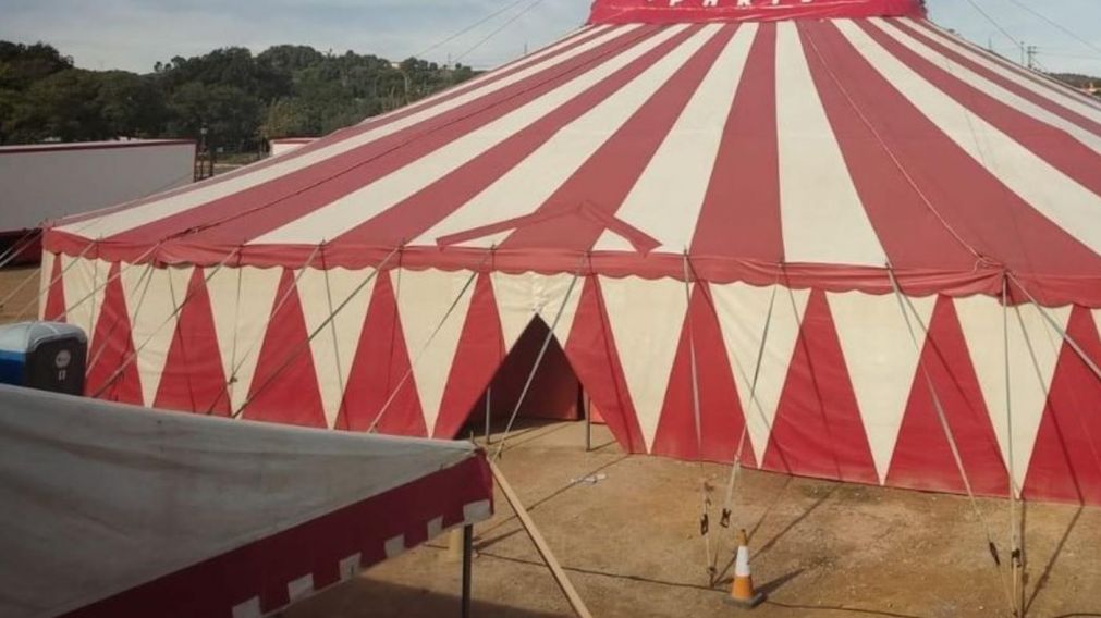 El presunto femicidio ocurrió en un circo instalado en la zona sur del conurbano (Imagen ilustrativa).