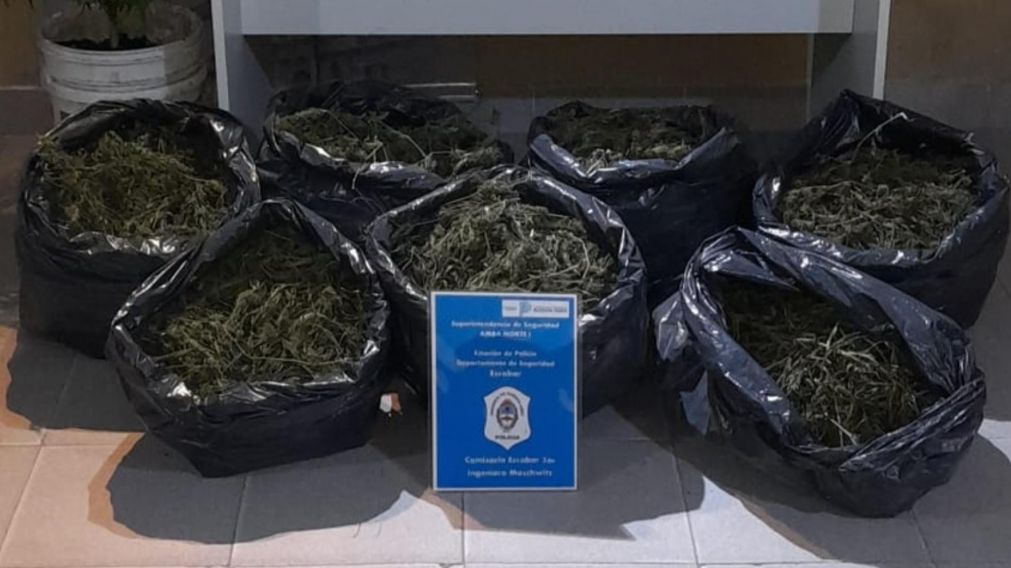 Parte de la droga que fue secuestrada por los investigadores policiales.