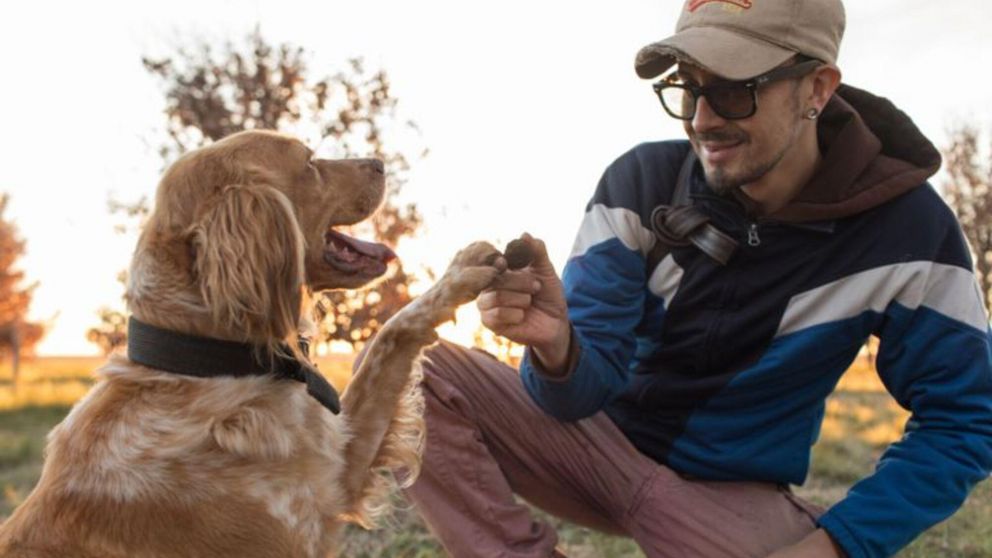 La trufa llega a cotizarse por kilo hasta por arriba de 2000 d�lares.