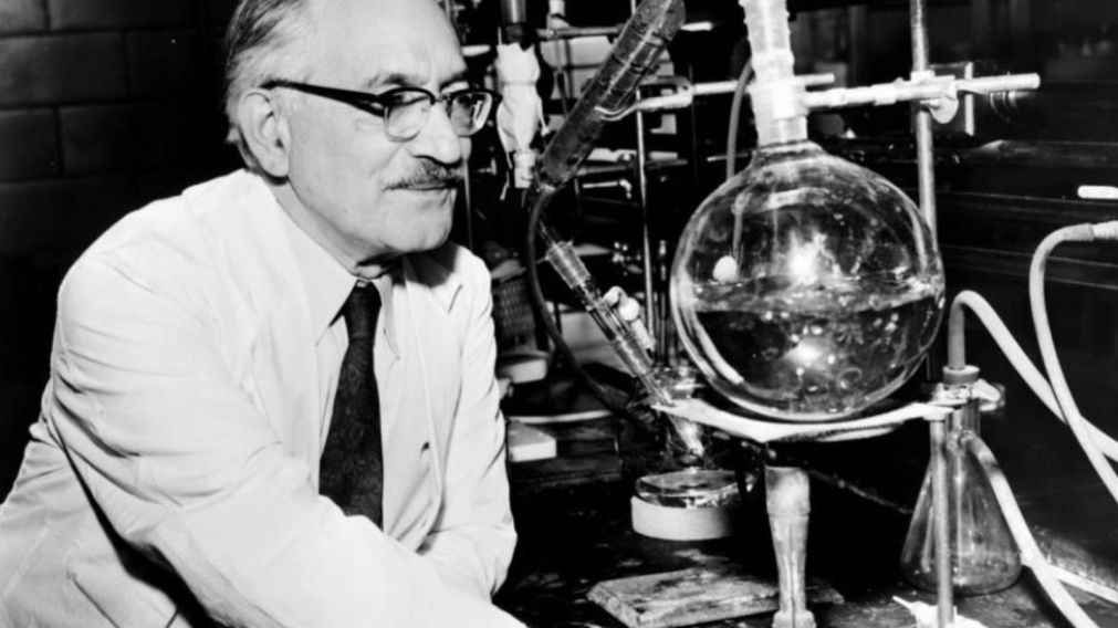 El término antibiótico fue utilizado por primera vez por Selman Waksman, el descubridor de la estreptomicina, en 1942