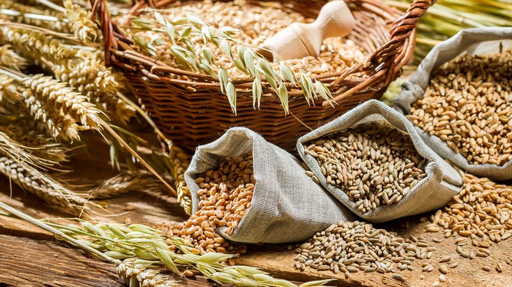 Para una dieta típica de 2000 calorías se recomienda el consumo de cuatro porciones de cereales y legumbres por día.