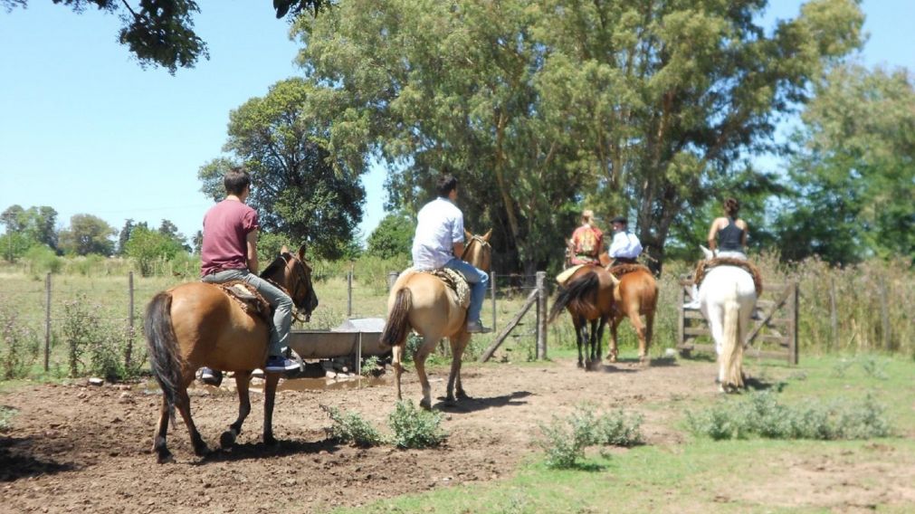 Escapada de fin de semana largo con estad�as de campo y museos hist�ricos