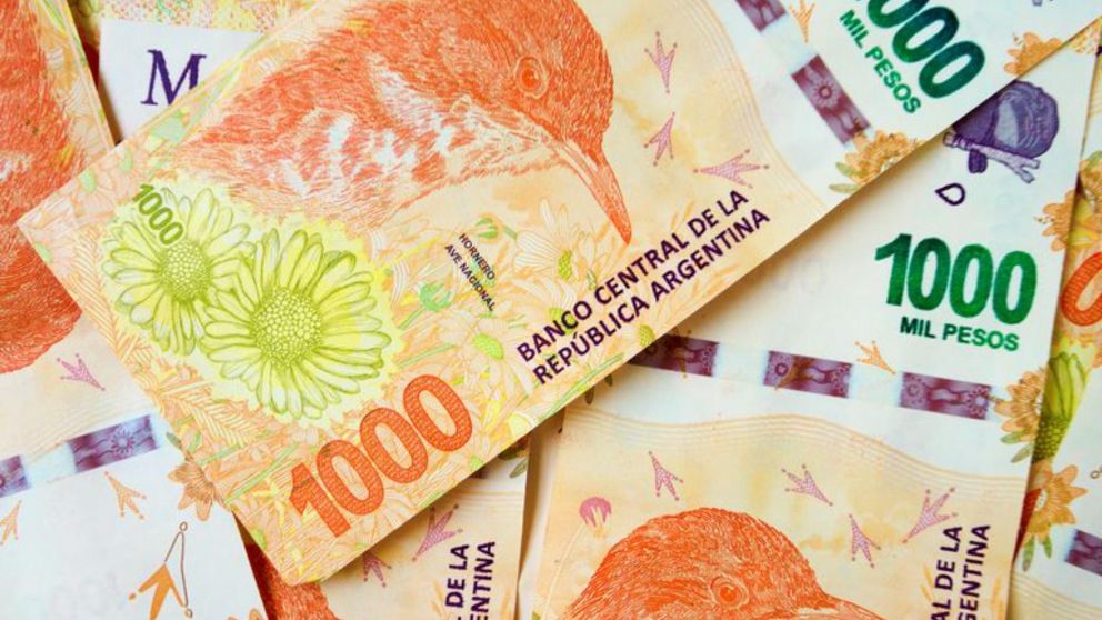 ANSES paga hasta $51.000 a quienes cumplan con tres simples requisitos.