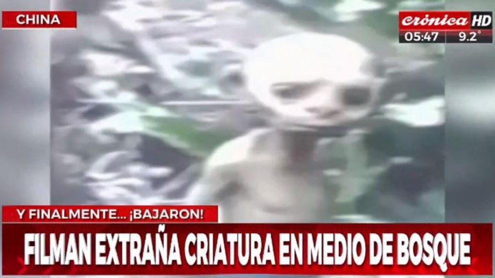 La criatura fue captada por un turista francés (Captura de TV).