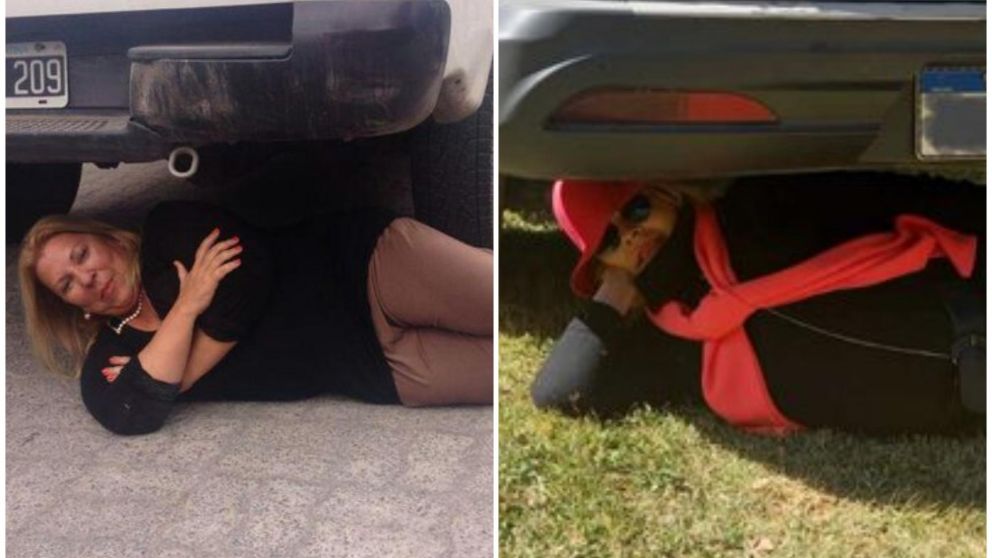 Elisa Carrió revivió el histórico meme.