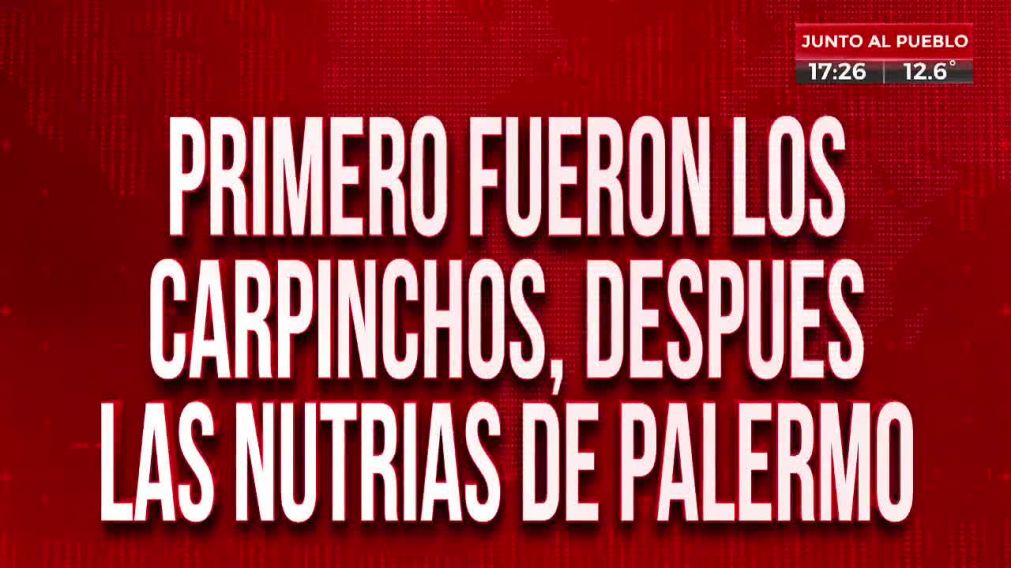 Cr�nica HD