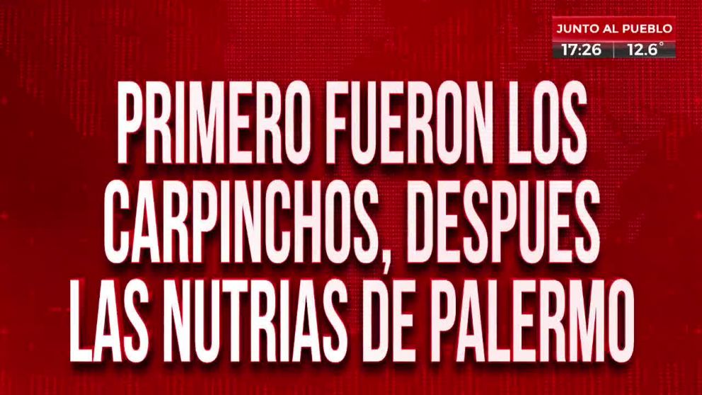 Crónica HD