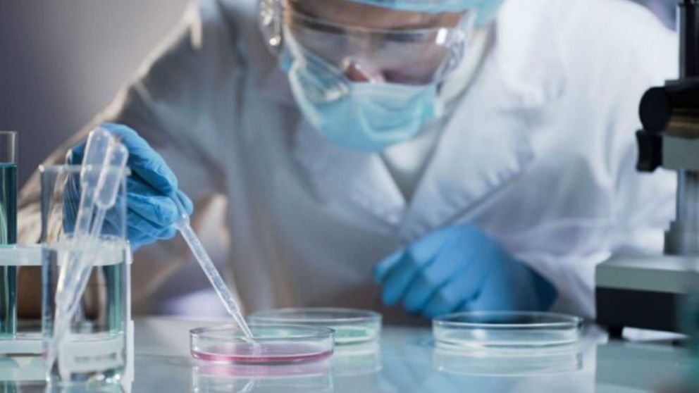 El estudio fue realizado por la Universidad de Harvard y mostró resultados alentadores para el tratamiento del cáncer (Imagen ilustrativa).