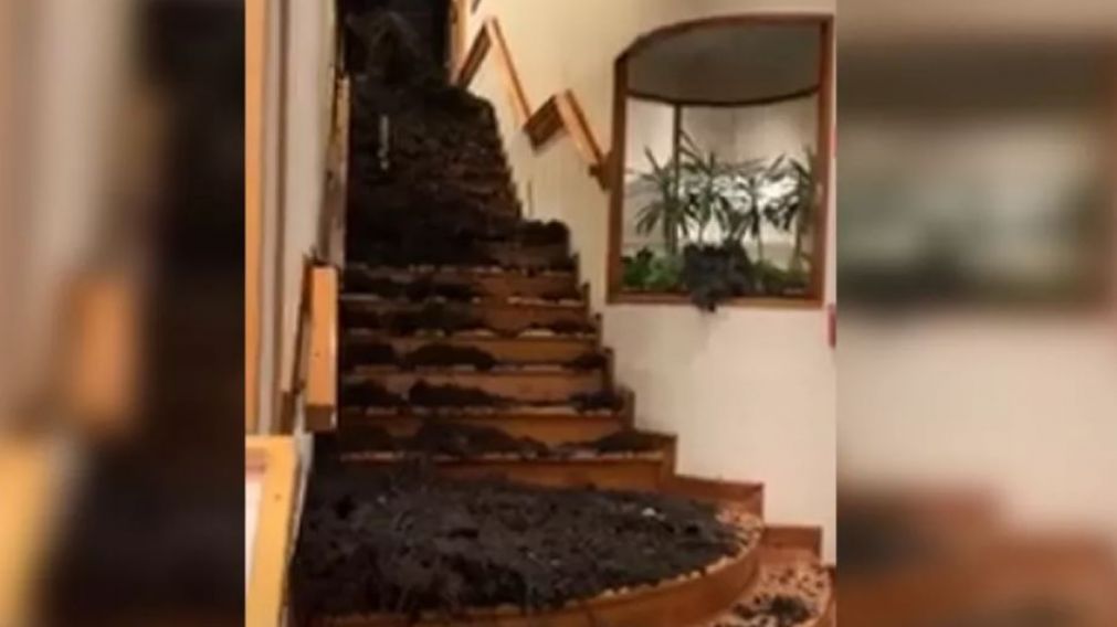 El alud afectó a un hotel de la ciudad de Bariloche.