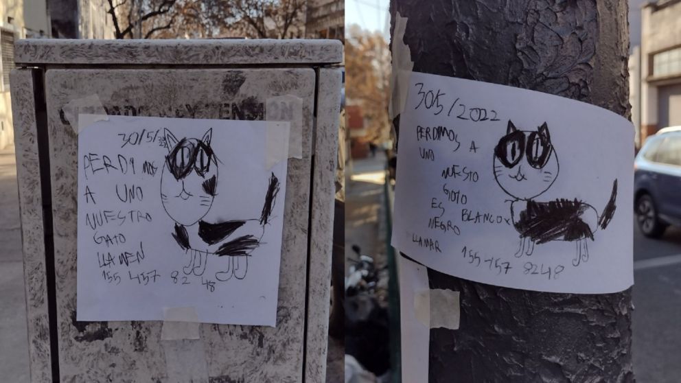 Los conmovedores carteles que unos nenes dibujaron a mano para encontrar a su gatito perdido (imagen Twitter).