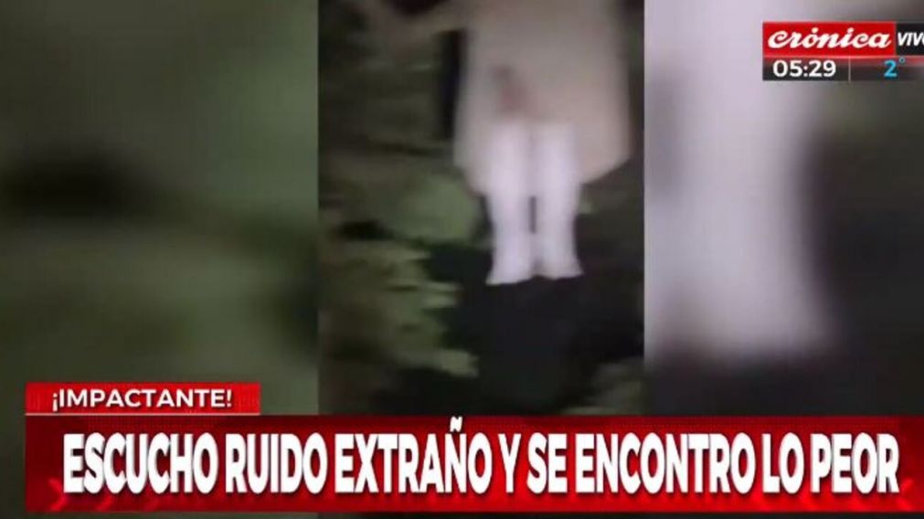 Video aterrador: escuchó ruidos en el jardín, salió y filmó el fantasma de un suicida