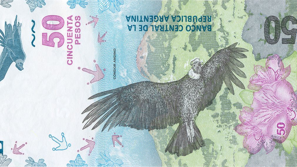 Billete de $50 argentinos.