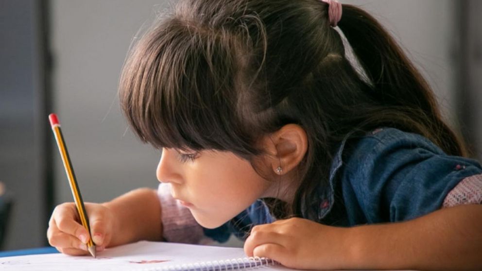 Una importante ayuda escolar para los padres o tutores de los chicos (Imagen ilustrativa).