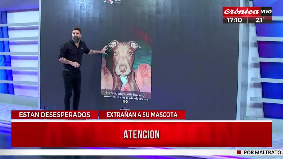 Crónica HD