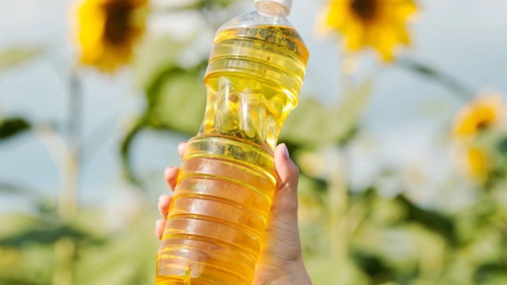 La ANMAT prohibió un aceite de girasol falsificado (Imagen ilustrativa).