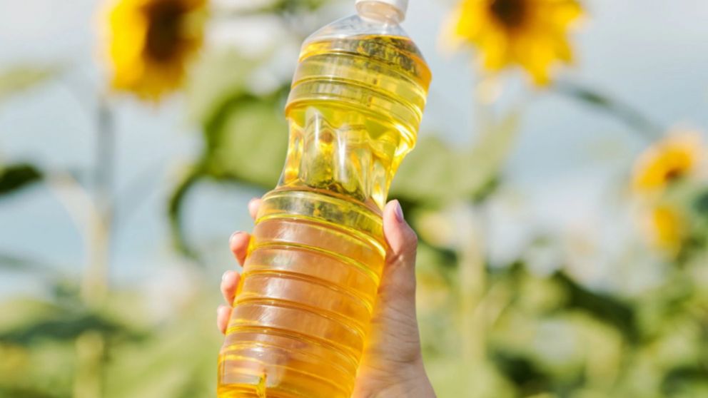 La ANMAT prohibió un aceite de girasol falsificado (Imagen ilustrativa).