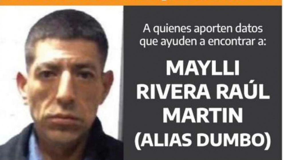 Ofrecen hasta 5 millones de pesos por quien pueda dar con el paradero de "Dumbo".