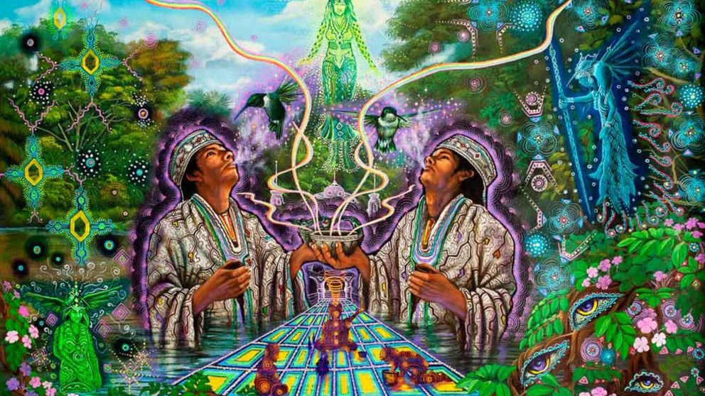 Ayahuasca:¿Un método para romper la Matrix en la que vivimos? .