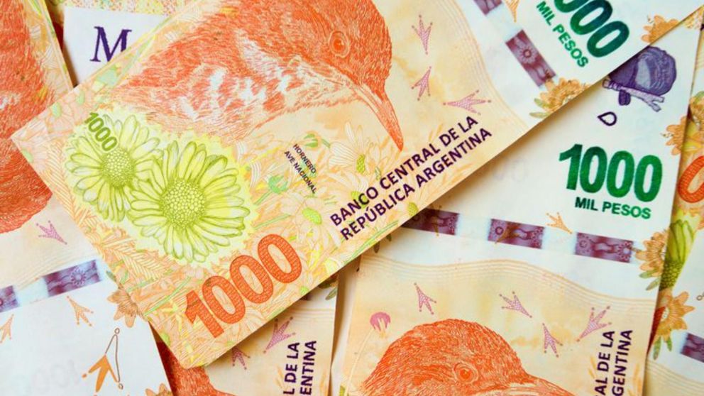 ANSES paga en mayo hasta $47.940 a un grupo de 18 a 65 a�os.