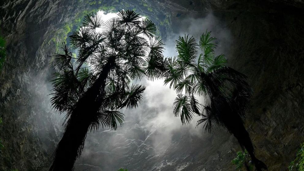 Según los profesionales, el pozo alberga árboles primitivos de hasta 40 metros de altura.