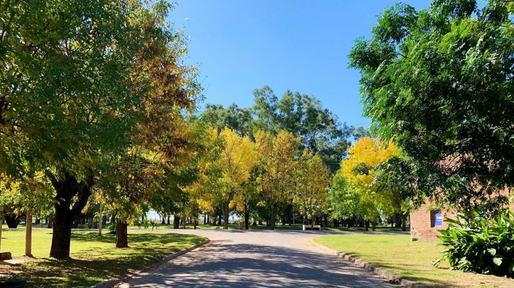 Vista del otoño en el pueblo de Tres Sargentos, en Buenos Aires (Foto: Twitter/gui10road).