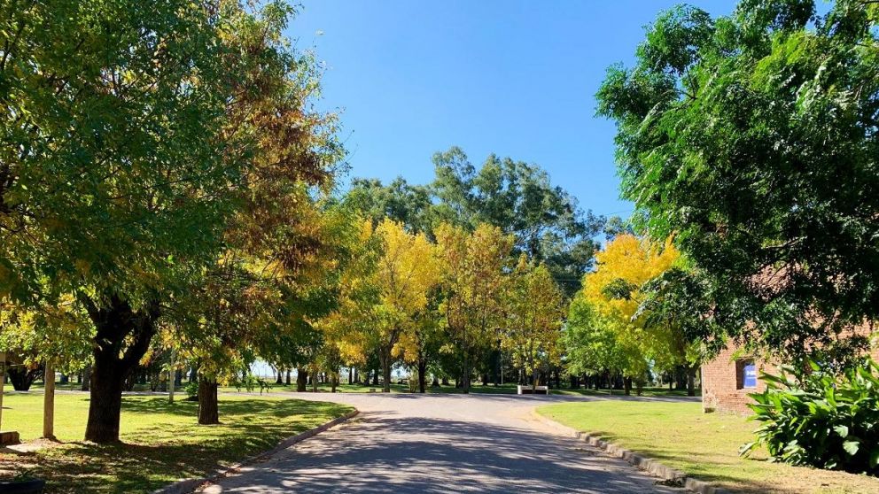 Vista del otoño en el pueblo de Tres Sargentos, en Buenos Aires (Foto: Twitter/gui10road).