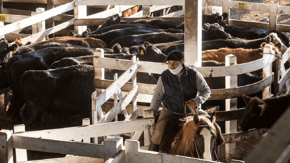 El tradicional mercado llevaba más de un siglo operando en la zona.