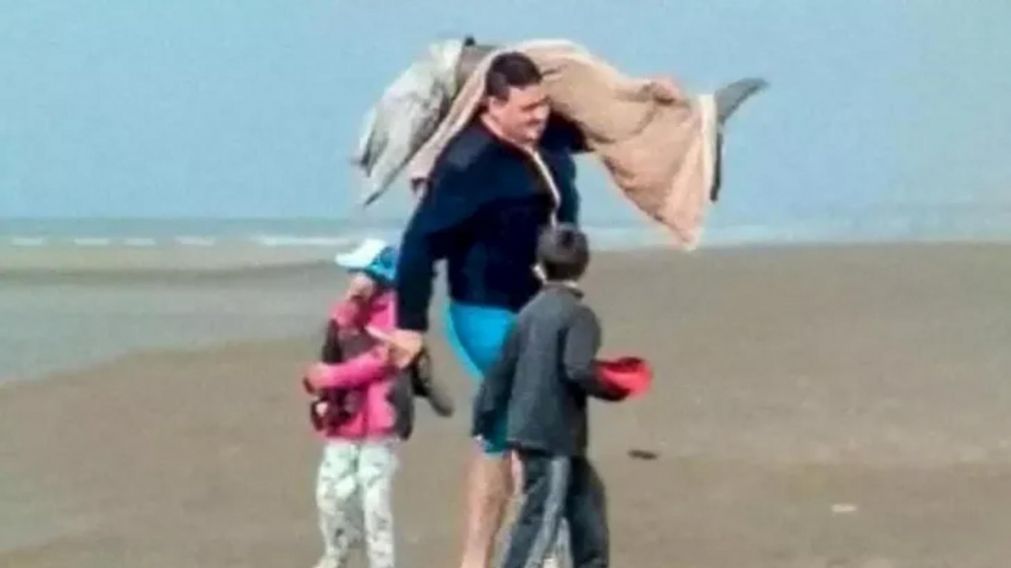 Luego de capturar al cetáceo, el pescador lo envolvió en una manta y se lo llevó (captura de video).