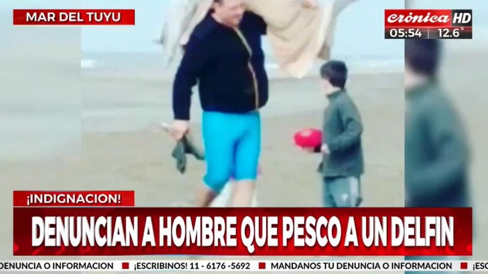 Un hombre fue filmado cuando se llevaba de la playa a un delfín en peligro de extinción (Crónica HD).