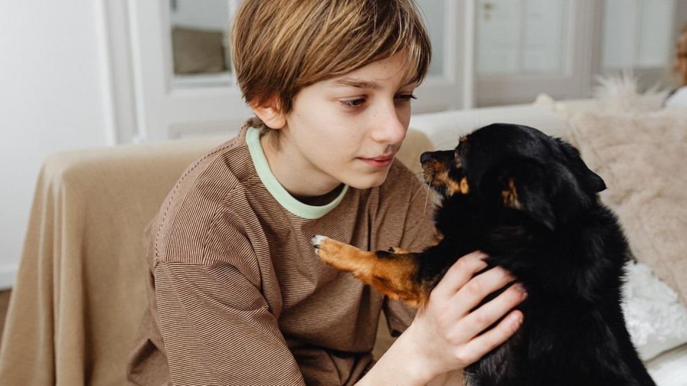 El organismo de salud de Gran Bretaña indicó que "se está explorando la importancia de este hallazgo", pero resaltó que podría ser una coincidencia porque tener perros es una costumbre habitual.