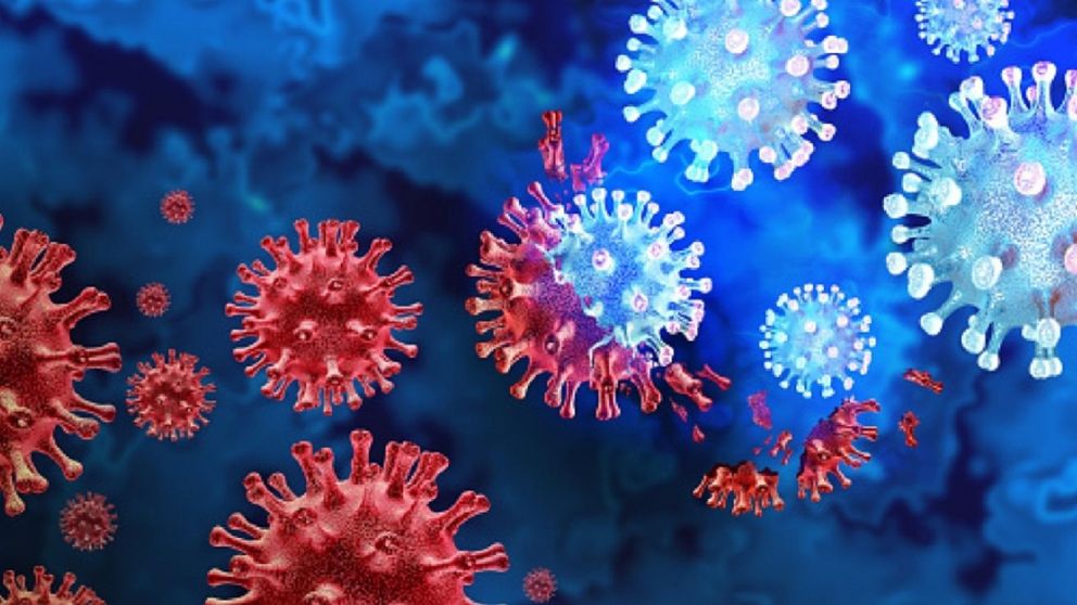 La variante BA.2 de Ómicron se caracteriza por escape inmunológico y la virulencia.