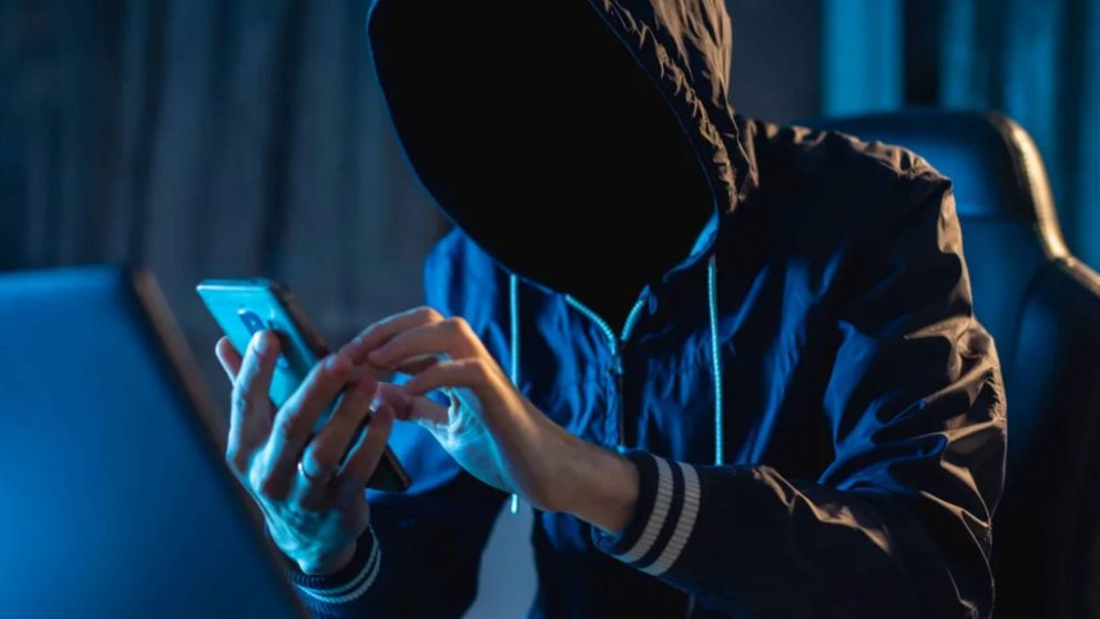 Los ciberdelitos crecieron en el �ltimo tiempo. 