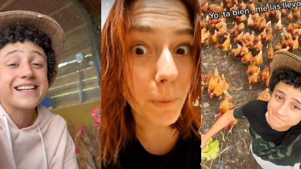 "El Borrego" es un conocido tiktoker que da tips de cómo mejorar el jardín y cómo tener una granja (TikTok).