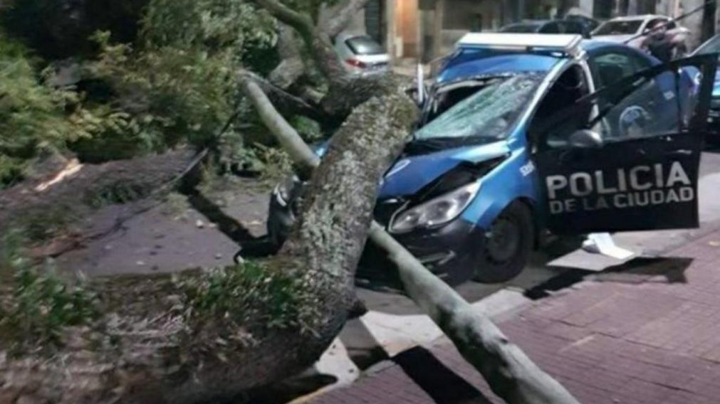 Un a�oso �rbol destruy� a una patrullero que estaba estacionado (Twitter).