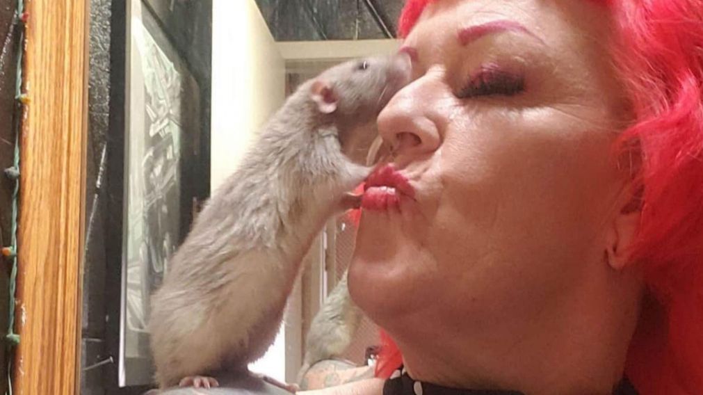 El video de sus ratas ba��ndose en su cocina se volvi� viral en las redes sociales.