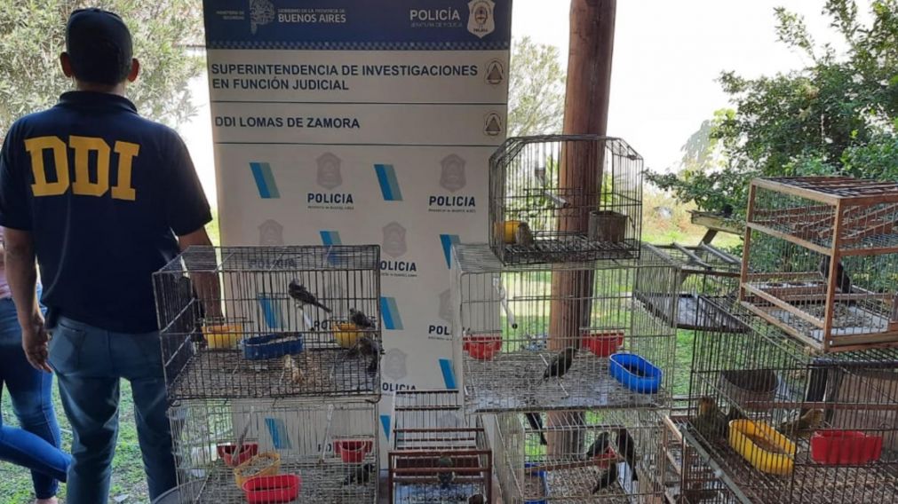 Algunos de los animales que fueron hallados por los efectivos policiales.
