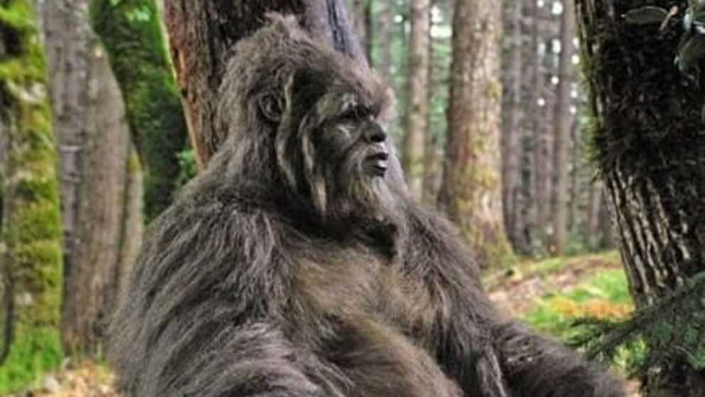 El "ucumar" fue visto en Salta y dejó mudo a un hombre.