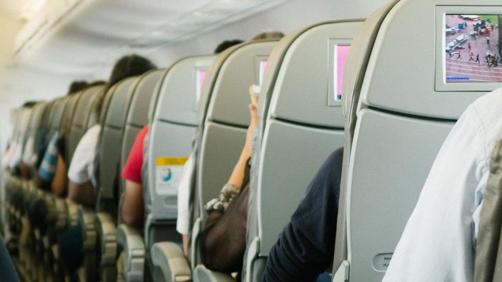 Tendrán que pagar multas de más de 80.000 dólares por "morder", "escupir", "abrazar", "besar" y maltratar a la tripulación y a sus pasajeros.